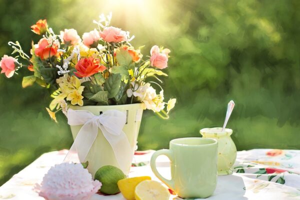 Beautiful morning and flowers Beautiful morning and flowers